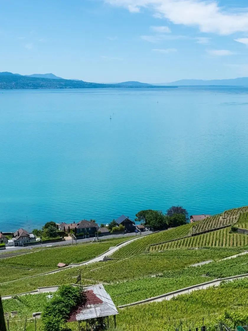 Le Léman et les montagnes depuis les hauts de La Côte