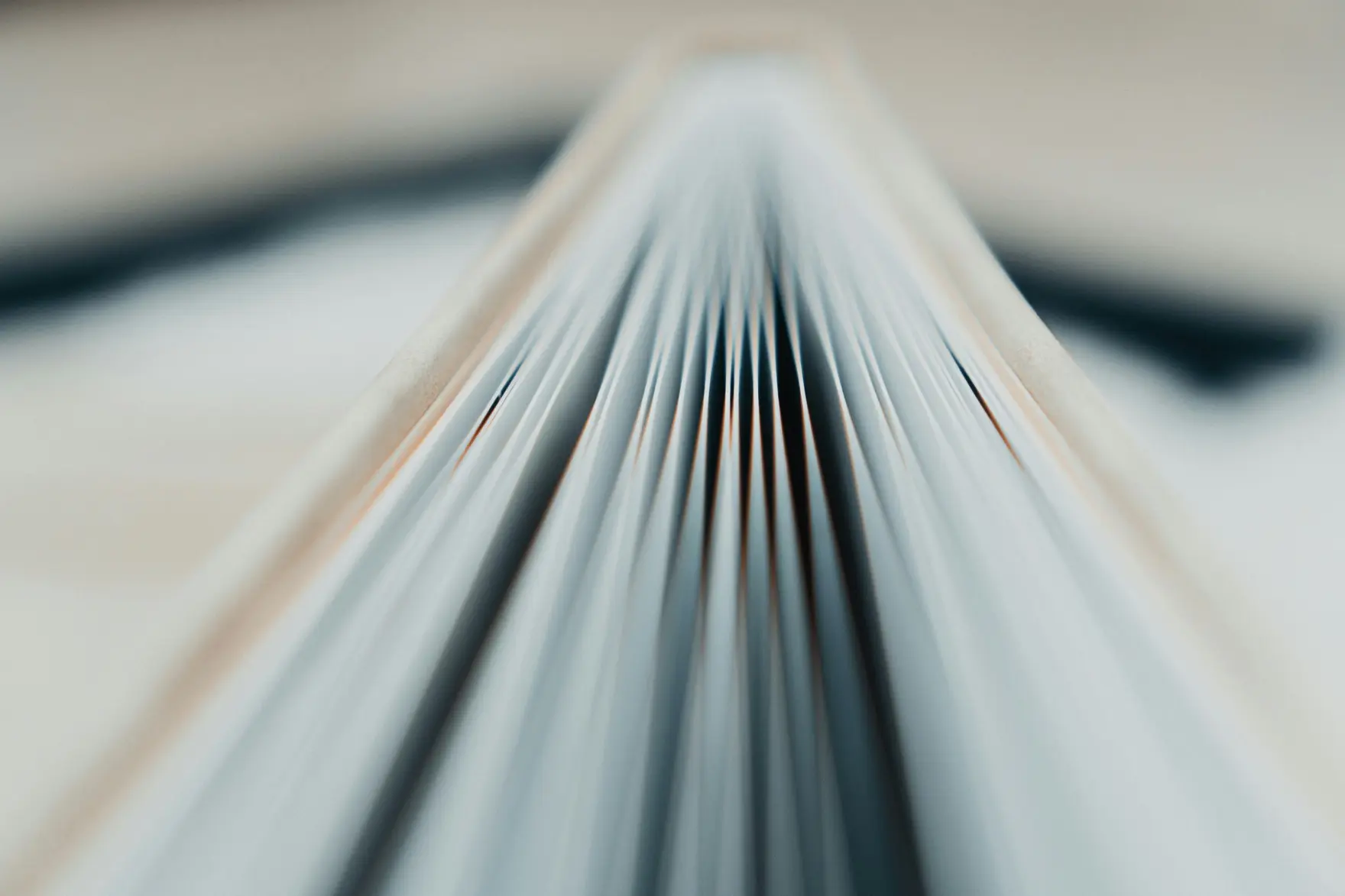 Registre comptable ouvert, pages en éventail